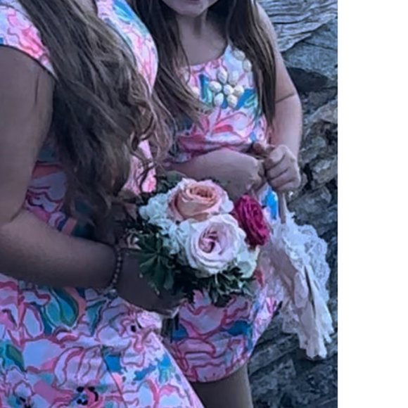 Lilly Pulitzer Pink and Blue Sleeveless Sundress - Picture 2 of 10